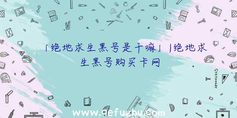 「绝地求生黑号是干嘛」|绝地求生黑号购买卡网